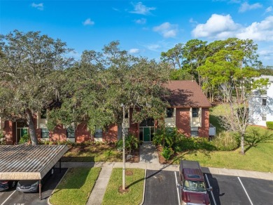 Welcome Home! Enjoy this COMPLETELY REMODELED 2 Bedroom, 2 Bath on East Lake Woodlands Country Club in Florida - for sale on GolfHomes.com, golf home, golf lot