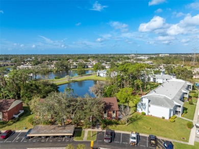 Welcome Home! Enjoy this COMPLETELY REMODELED 2 Bedroom, 2 Bath on East Lake Woodlands Country Club in Florida - for sale on GolfHomes.com, golf home, golf lot