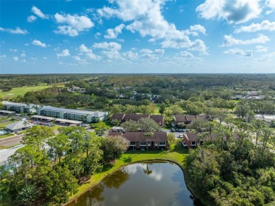 Welcome Home! Enjoy this COMPLETELY REMODELED 2 Bedroom, 2 Bath on East Lake Woodlands Country Club in Florida - for sale on GolfHomes.com, golf home, golf lot