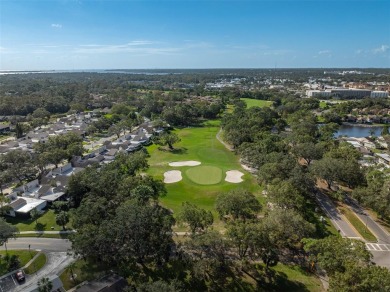 Welcome Home! Enjoy this COMPLETELY REMODELED 2 Bedroom, 2 Bath on East Lake Woodlands Country Club in Florida - for sale on GolfHomes.com, golf home, golf lot