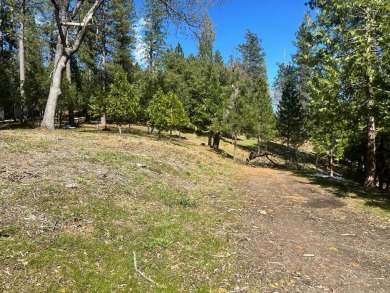 Gorgeous almost 6 acre parcel in the private gated community of on Forest Meadows Golf Course in California - for sale on GolfHomes.com, golf home, golf lot