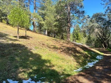 Gorgeous almost 6 acre parcel in the private gated community of on Forest Meadows Golf Course in California - for sale on GolfHomes.com, golf home, golf lot