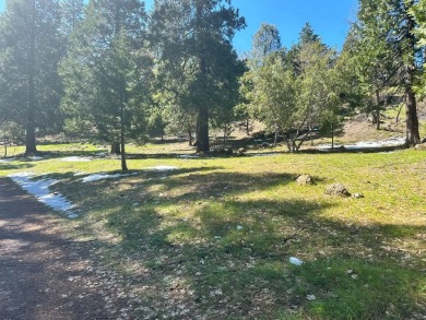 Gorgeous almost 6 acre parcel in the private gated community of on Forest Meadows Golf Course in California - for sale on GolfHomes.com, golf home, golf lot