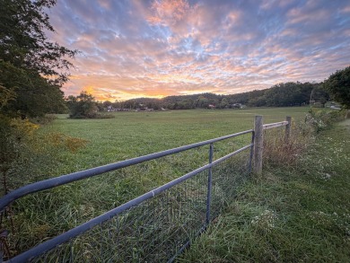 There are many so many options for this 9.75 +/- Acres. This on Woodson Bend Resort in Kentucky - for sale on GolfHomes.com, golf home, golf lot