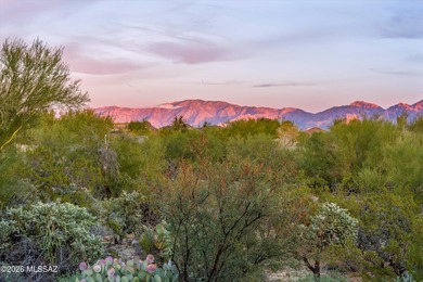 Panoramic VIEWS from the East facing patio of the Catalina and on Heritage Highlands At Dove Mountain in Arizona - for sale on GolfHomes.com, golf home, golf lot