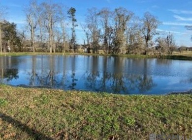 Introducing a once-in-a-lifetime opportunity for visionary on Santa Maria Golf Club in Louisiana - for sale on GolfHomes.com, golf home, golf lot