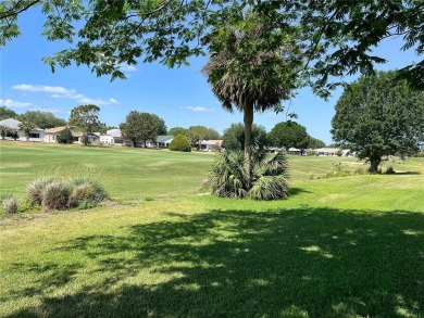 GOLF COURSE LOT! MAINTENANCE FREE NEIGHBORHOOD OF PROVIDENCE IN on On Top of the World Golf Course in Florida - for sale on GolfHomes.com, golf home, golf lot