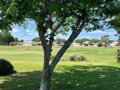 GOLF COURSE LOT! MAINTENANCE FREE NEIGHBORHOOD OF PROVIDENCE IN on On Top of the World Golf Course in Florida - for sale on GolfHomes.com, golf home, golf lot
