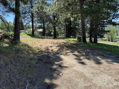Prime .49 Acre Escape located directly across the street from on Cascade Golf Course in Idaho - for sale on GolfHomes.com, golf home, golf lot