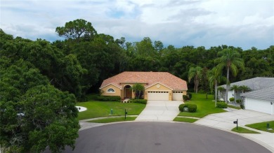 Welcome to your dream home located on a cul-de-sac with only 4 on East Lake Woodlands Country Club in Florida - for sale on GolfHomes.com, golf home, golf lot
