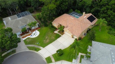 Welcome to your dream home located on a cul-de-sac with only 4 on East Lake Woodlands Country Club in Florida - for sale on GolfHomes.com, golf home, golf lot