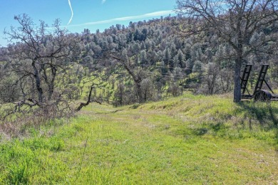 This is a wonderful 1 acre lot located right off Copper Cove on The Club at Copper Valley Golf Course in California - for sale on GolfHomes.com, golf home, golf lot