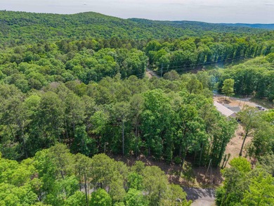 *OWNER FINANCING AVAILABLE*  Here is a wonderful opportunity for on Diamondhead Golf and Country Club in Arkansas - for sale on GolfHomes.com, golf home, golf lot