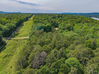 *OWNER FINANCING AVAILABLE*  Here is a wonderful opportunity for on Diamondhead Golf and Country Club in Arkansas - for sale on GolfHomes.com, golf home, golf lot