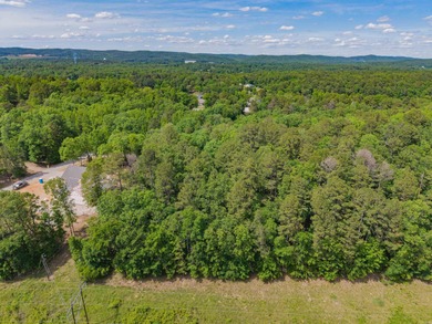 *OWNER FINANCING AVAILABLE*  Here is a wonderful opportunity for on Diamondhead Golf and Country Club in Arkansas - for sale on GolfHomes.com, golf home, golf lot