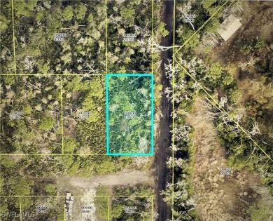 Fantastic Opportunity for a Vacant Lot in the Desirable Pineland on Alden Pines Golf Club in Florida - for sale on GolfHomes.com, golf home, golf lot