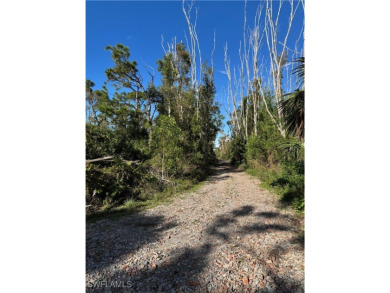 Fantastic Opportunity for a Vacant Lot in the Desirable Pineland on Alden Pines Golf Club in Florida - for sale on GolfHomes.com, golf home, golf lot