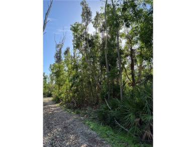 Fantastic Opportunity for a Vacant Lot in the Desirable Pineland on Alden Pines Golf Club in Florida - for sale on GolfHomes.com, golf home, golf lot