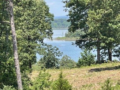 Two Lakefront Lots with 289 Ft of water frontage in Island on Thunderbird Country Club in Arkansas - for sale on GolfHomes.com, golf home, golf lot