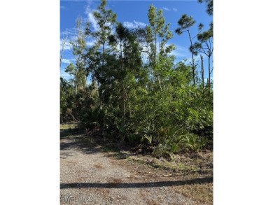 Fantastic Opportunity for a Vacant Lot in the Desirable Pineland on Alden Pines Golf Club in Florida - for sale on GolfHomes.com, golf home, golf lot