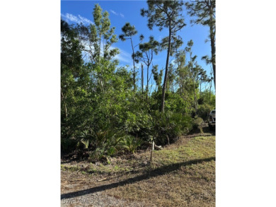 Fantastic Opportunity for a Vacant Lot in the Desirable Pineland on Alden Pines Golf Club in Florida - for sale on GolfHomes.com, golf home, golf lot