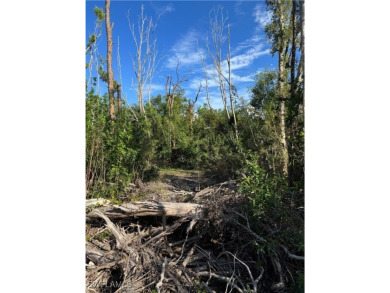 Fantastic Opportunity for a Vacant Lot in the Desirable Pineland on Alden Pines Golf Club in Florida - for sale on GolfHomes.com, golf home, golf lot