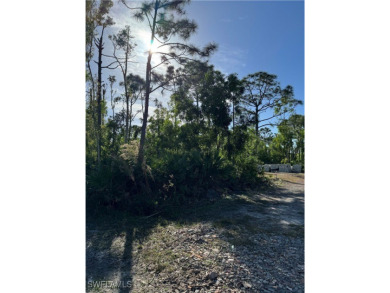 Fantastic Opportunity for a Vacant Lot in the Desirable Pineland on Alden Pines Golf Club in Florida - for sale on GolfHomes.com, golf home, golf lot