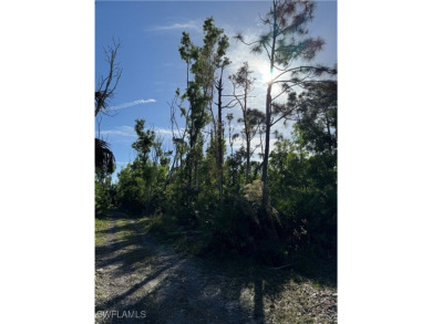 Fantastic Opportunity for a Vacant Lot in the Desirable Pineland on Alden Pines Golf Club in Florida - for sale on GolfHomes.com, golf home, golf lot