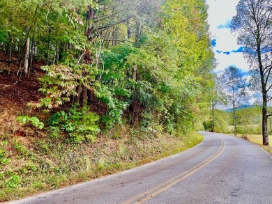 Love the mountains AND Golf?? Loking for that perfect place to on White Path Golf Club in Georgia - for sale on GolfHomes.com, golf home, golf lot