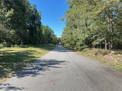 This Lake Marion area land near Santee State Park and minutes to for sale on GolfHomes.com