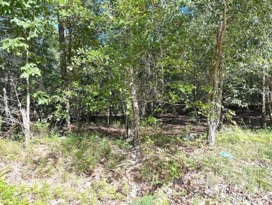This Lake Marion area land near Santee State Park and minutes to on Santee National Golf Course in South Carolina - for sale on GolfHomes.com, golf home, golf lot