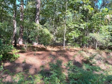 This Lake Marion area land near Santee State Park and minutes to on Santee National Golf Course in South Carolina - for sale on GolfHomes.com, golf home, golf lot