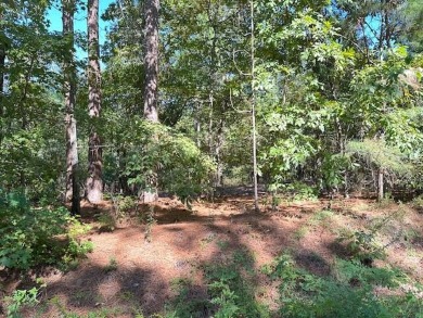 This Lake Marion area land near Santee State Park and minutes to on Santee National Golf Course in South Carolina - for sale on GolfHomes.com, golf home, golf lot