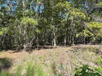 This Lake Marion area land near Santee State Park and minutes to on Santee National Golf Course in South Carolina - for sale on GolfHomes.com, golf home, golf lot