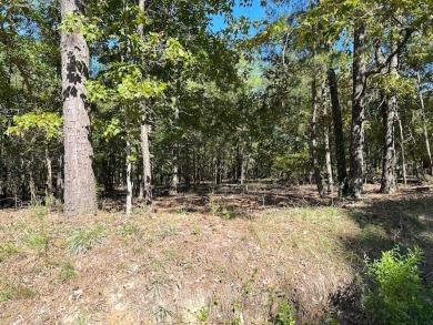 This Lake Marion area land near Santee State Park and minutes to on Santee National Golf Course in South Carolina - for sale on GolfHomes.com, golf home, golf lot