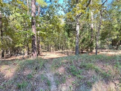 This Lake Marion area land near Santee State Park and minutes to on Santee National Golf Course in South Carolina - for sale on GolfHomes.com, golf home, golf lot