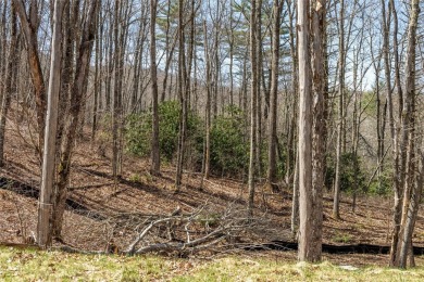Design a dream mountain retreat on an exceptional lot in on Natures Walk At Chinquapin in North Carolina - for sale on GolfHomes.com, golf home, golf lot