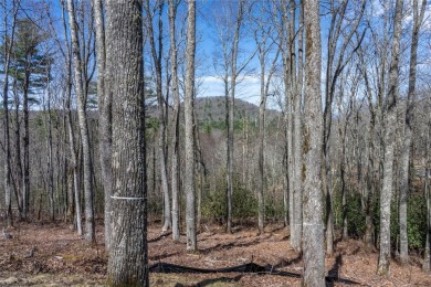 Design a dream mountain retreat on an exceptional lot in on Natures Walk At Chinquapin in North Carolina - for sale on GolfHomes.com, golf home, golf lot