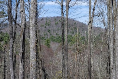 Design a dream mountain retreat on an exceptional lot in on Natures Walk At Chinquapin in North Carolina - for sale on GolfHomes.com, golf home, golf lot