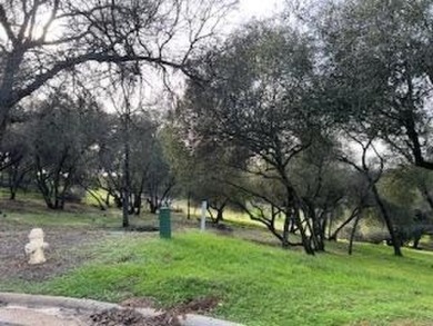 Secluded and Serene...This .39 Acre lot in GreenHorn Creek on Greenhorn Creek Resort in California - for sale on GolfHomes.com, golf home, golf lot
