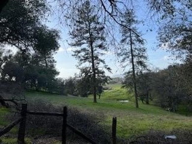 Secluded and Serene...This .39 Acre lot in GreenHorn Creek on Greenhorn Creek Resort in California - for sale on GolfHomes.com, golf home, golf lot