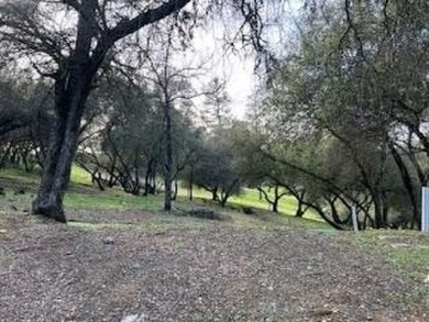 Secluded and Serene...This .39 Acre lot in GreenHorn Creek on Greenhorn Creek Resort in California - for sale on GolfHomes.com, golf home, golf lot