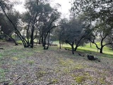 Secluded and Serene...This .39 Acre lot in GreenHorn Creek on Greenhorn Creek Resort in California - for sale on GolfHomes.com, golf home, golf lot