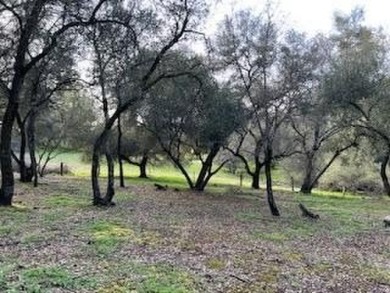 Secluded and Serene...This .39 Acre lot in GreenHorn Creek on Greenhorn Creek Resort in California - for sale on GolfHomes.com, golf home, golf lot