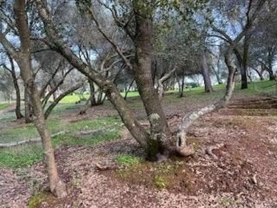 Secluded and Serene...This .39 Acre lot in GreenHorn Creek on Greenhorn Creek Resort in California - for sale on GolfHomes.com, golf home, golf lot