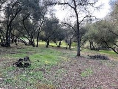 Secluded and Serene...This .39 Acre lot in GreenHorn Creek on Greenhorn Creek Resort in California - for sale on GolfHomes.com, golf home, golf lot