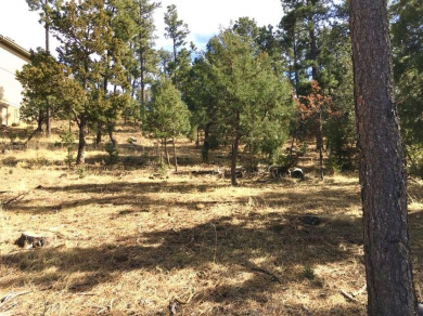 BUILD YOUR DREAM HOME Potential views of the #14 Fairway and on The Links at Sierra Blanca in New Mexico - for sale on GolfHomes.com, golf home, golf lot