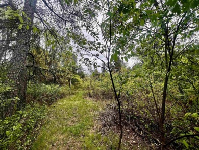 Build your dream home on this premium .50 acre lot, ideally on Lake Arrowhead Golf Course - The Lakes in Wisconsin - for sale on GolfHomes.com, golf home, golf lot