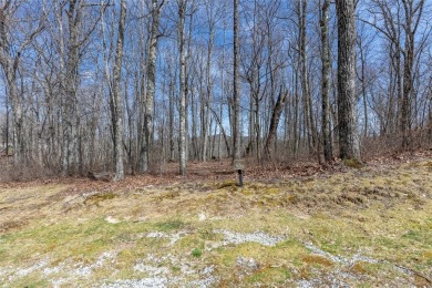 Discover the perfect place to create a mountain retreat in the on Natures Walk At Chinquapin in North Carolina - for sale on GolfHomes.com, golf home, golf lot