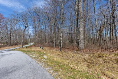 Discover the perfect place to create a mountain retreat in the on Natures Walk At Chinquapin in North Carolina - for sale on GolfHomes.com, golf home, golf lot